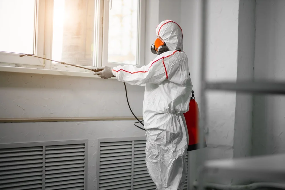 Professional mold remediation services in Melrose, FL